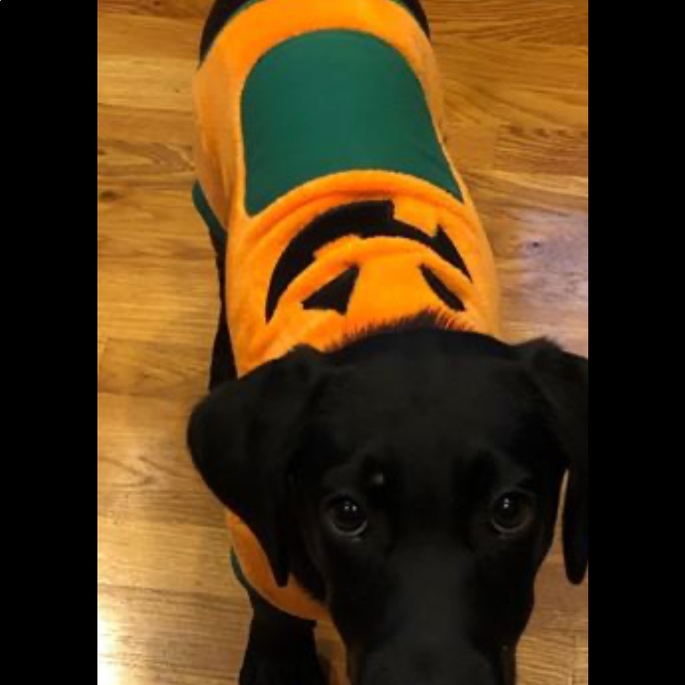 Friends Forever pet costume